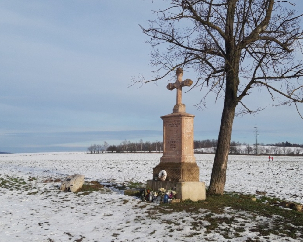 POZEMKY PRO VÝSTAVBU - BRNO